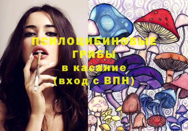 прущая мука Тихвин