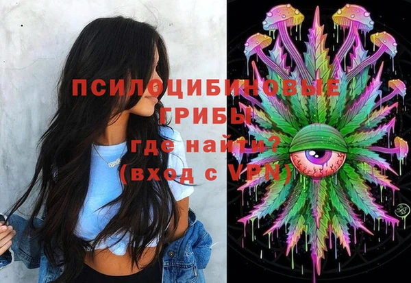 герыч Арсеньев