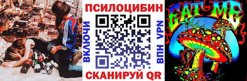 Псилоцибиновые грибы Psilocybe  Учалы 